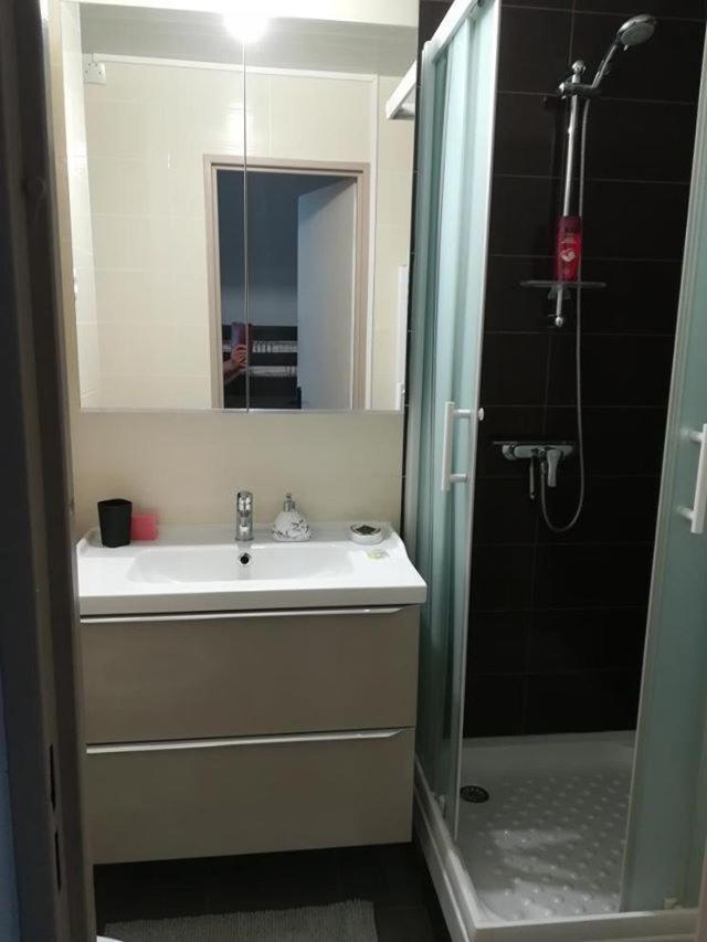 Studio cabine VUE PORT avec piscine, parc, boulodrome et parking privé Agde Exterior foto
